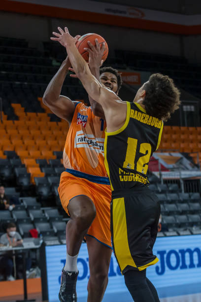 相似之处 相似之处